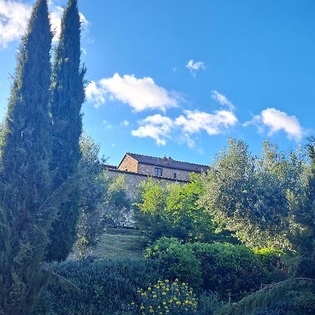 Monaci Apartments Asciano Dış mekan fotoğraf